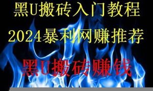 2024最火网赚项目，让你财富自由(2022年赚钱好项目)-网课简站